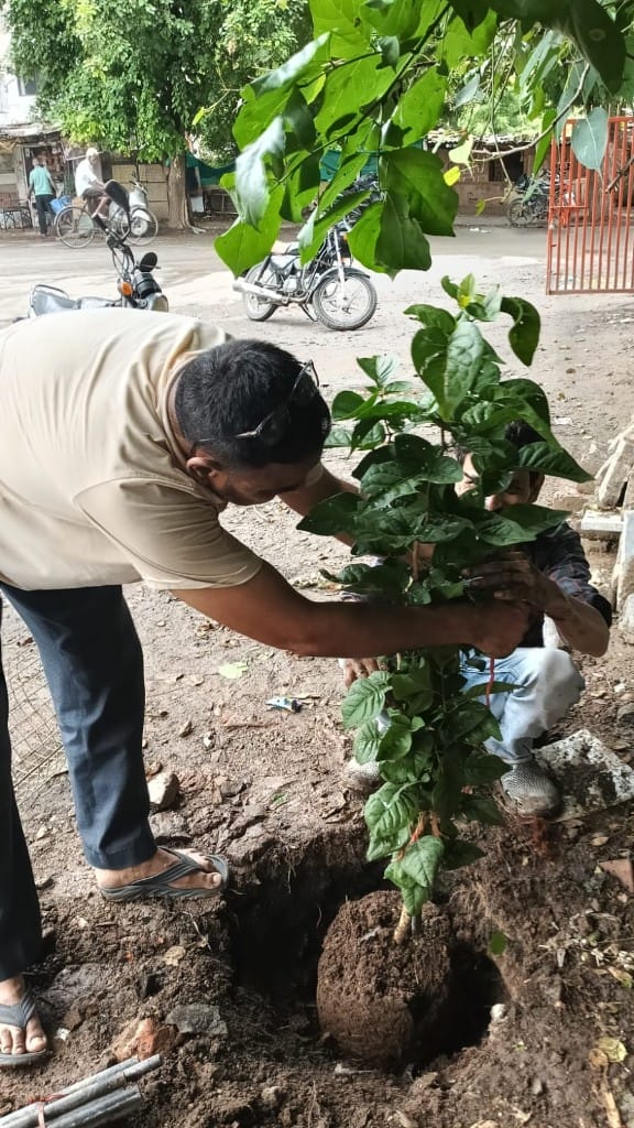 Tree plantation with the community in Ahmedabad