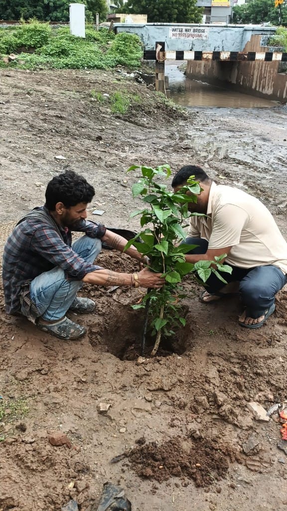 Hands in the soil