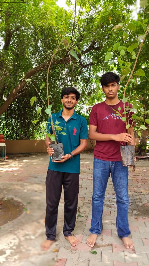 Two volunteers holding tree saplings during religious seva at the temple